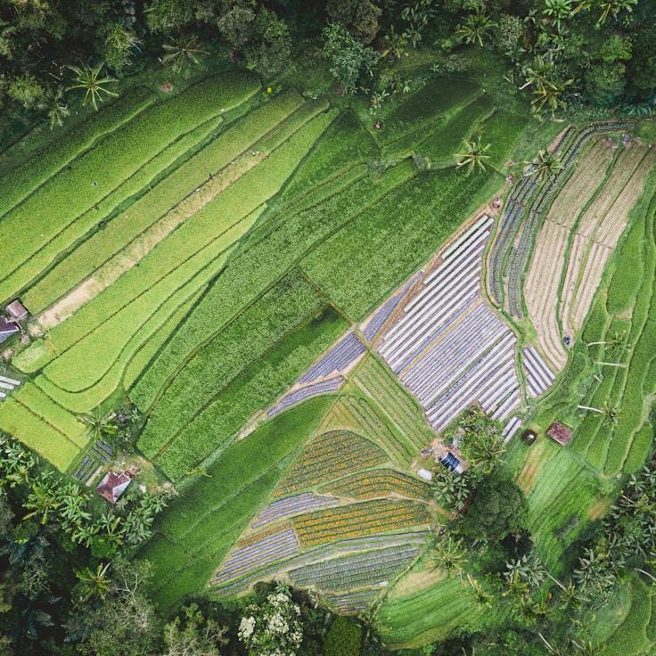 Family terraces and cafés for calm evenings in London